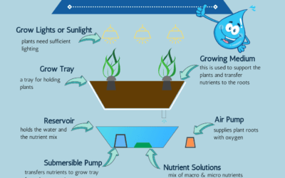Parts of A Basic Hydroponic System- Diagram