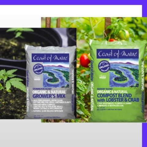 Coast Of Maine Organic Products - Simple Soil Hydroponics Grow Store