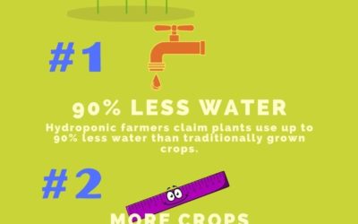 Getting Started With Hydroponic Gardening- Infographic