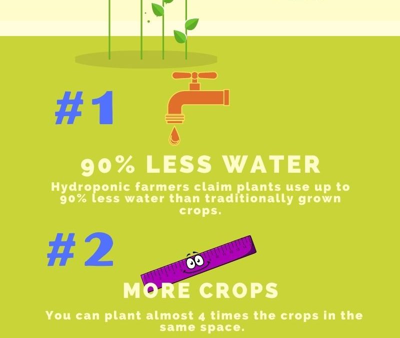 Getting Started With Hydroponic Gardening- Infographic